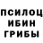 Псилоцибиновые грибы MAGIC MUSHROOMS Fugas Grelkins