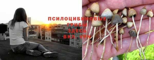 каннабис Баксан