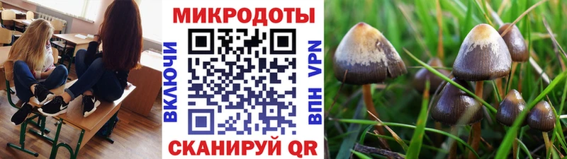 мега tor  Красноуфимск  Галлюциногенные грибы мухоморы 