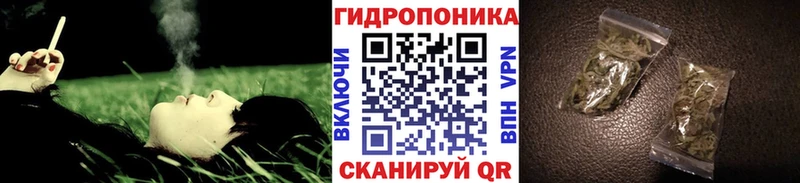 Бошки марихуана Amnesia  Красноуфимск 